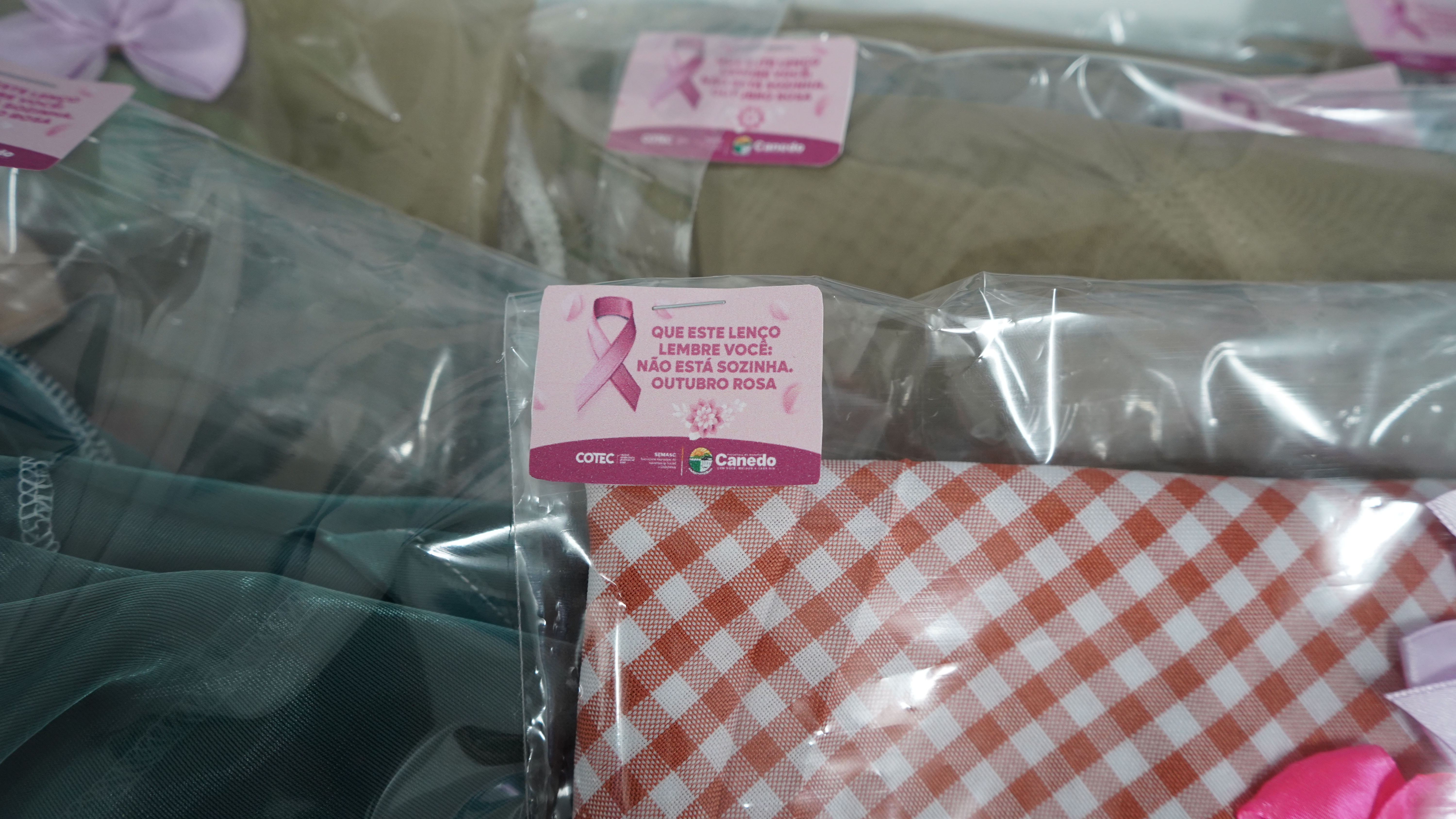 Cotec Sebastião Siqueira entrega lenços confeccionados por alunas e alunos ao Hospital Araújo Jorge 